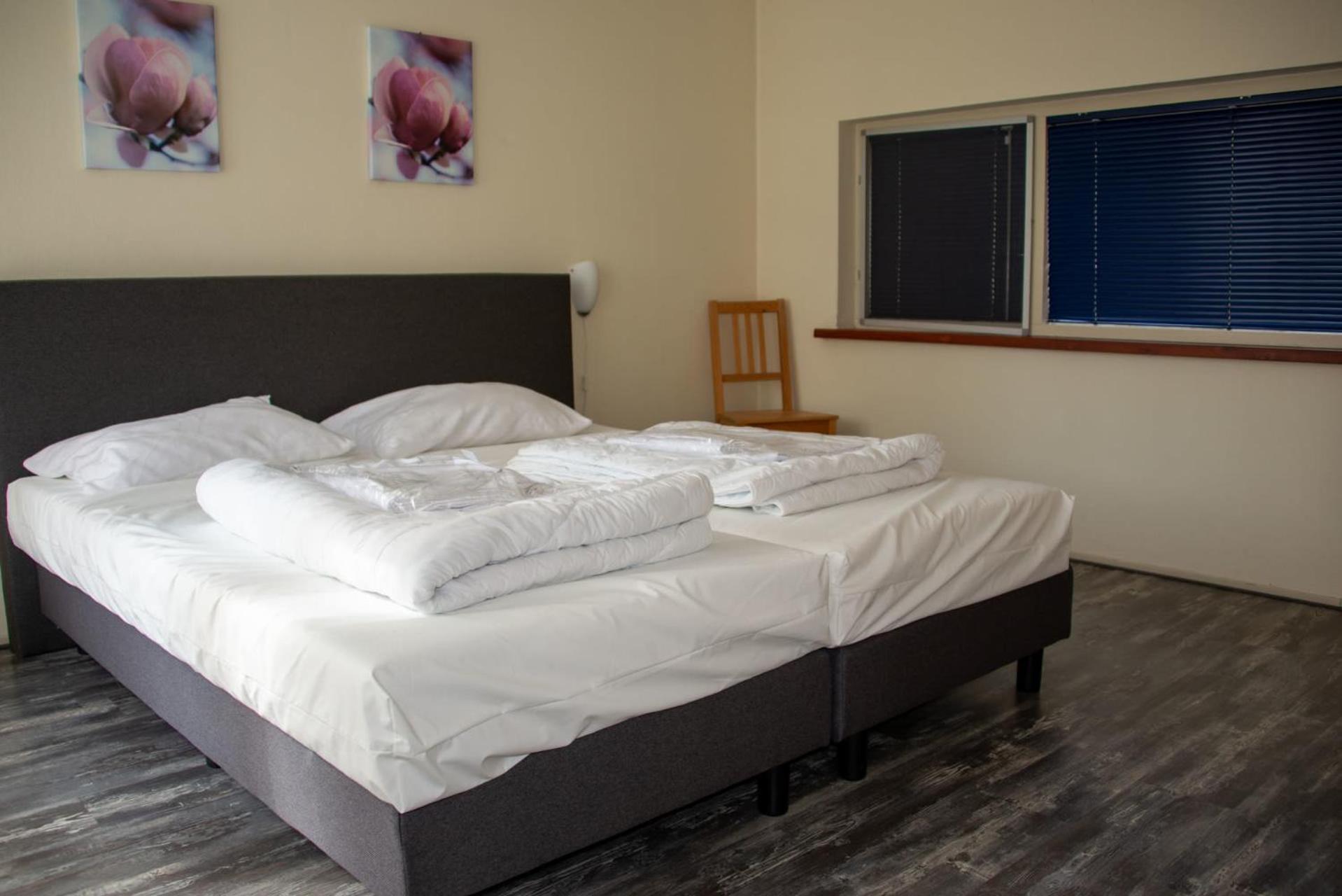 Europarcs De Wiltzangh Hotel Ruinen Стая снимка